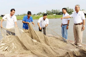 Nuôi thủy sản ở An Giang.