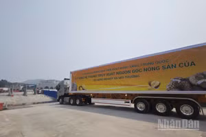 Xe chở sầu riêng xuất khẩu vào thị trường Trung Quốc theo diện Luồng xanh sử dụng hệ thống truy xuất nguồn gốc của Bộ Nông nghiệp và Môi trường tại khu vực Cửa khẩu Quốc tế Hữu Nghị, tỉnh Lạng Sơn.