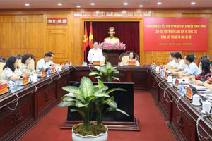 Đồng chí Phó Trưởng Ban Tuyên giáo và Dân vận Trung ương, Trưởng đoàn công tác phát biểu tại buổi làm việc với Tỉnh ủy Lạng Sơn.