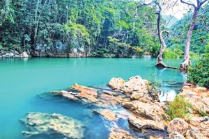 Suối Lê Nin, Pác Bó, xã Trường Hà (mới), tỉnh Cao Bằng.