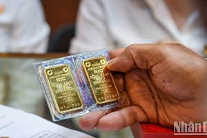 Ảnh: THÀNH ĐẠT