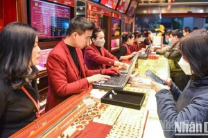 Ảnh: THÀNH ĐẠT