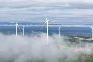 Dự án Nhà máy điện gió Savan 1 của T&T Group tại Lào được giới chuyên gia đánh giá rất cao.