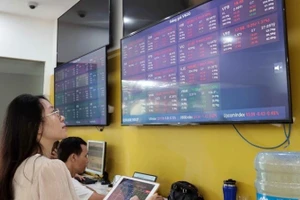 Ảnh minh họa. (Nguồn: TTXVN)