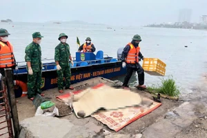 Lực lượng chức năng tìm thấy nạn nhân Hoàng Việt Hùng, sinh năm 1979 trong vụ lật tàu du lịch trên Vịnh Hạ Long.