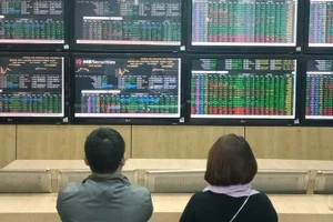 Ảnh minh họa. (Nguồn: TTXVN)