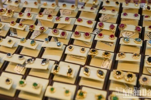 Ảnh: THÀNH ĐẠT