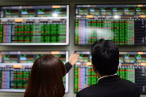 Ảnh minh họa. (Nguồn: TTXVN)