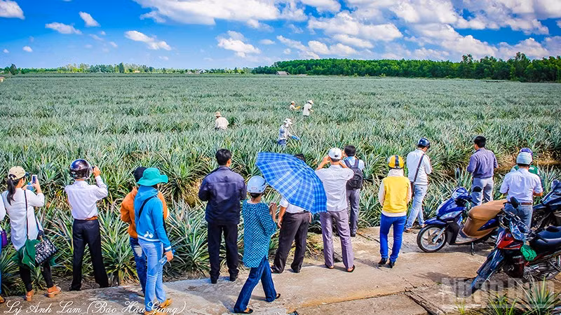 Du khách thích thú đến tham quan làng du lịch cộng đồng Khóm Cầu Đúc.