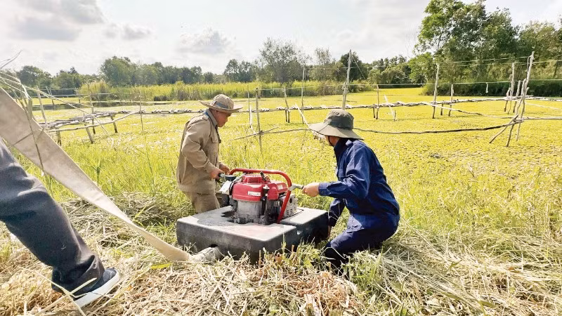 Diễn tập chữa cháy rừng tại Vườn quốc gia U Minh Thượng.