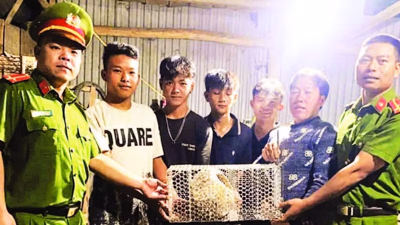 Nhóm thanh niên phường Bắc Gia Nghĩa bàn giao cá thể tê tê cho lực lượng công an phường.