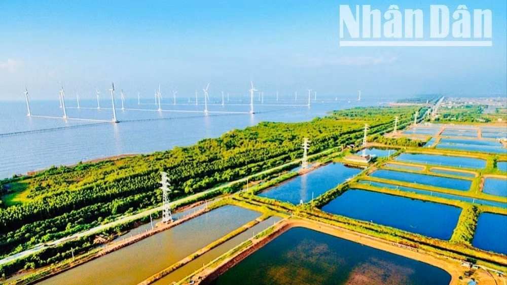 Tiềm năng lớn phát triển các dự án điện gió, điện khí ở Vĩnh Hậu.