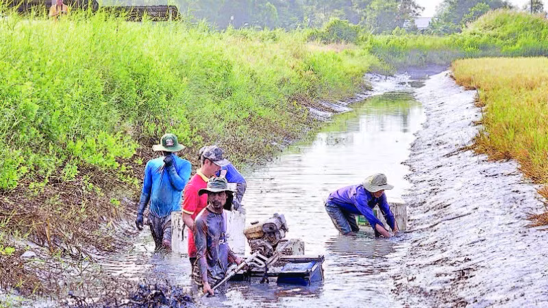 Người dân dùng máy đuôi tôm để quậy bùn dưới đáy mương. Tôm bị ngộp sình sẽ nổi đầu và tấp vào bờ, giúp việc thu hoạch nhanh chóng.