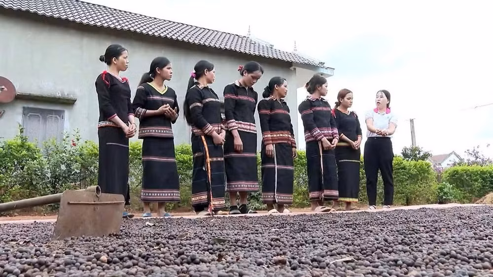 Tổ liên kết sản xuất, tiêu thụ cà phê làng Roh (xã Lơ Pang) trao đổi kinh nghiệm sản xuất.