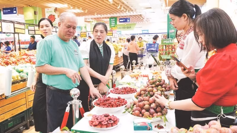 Người tiêu dùng tìm hiểu, chọn mua sản phẩm xanh mận hậu Sơn La tại một siêu thị Co.opmart ở thành phố. (Ảnh CTV)