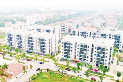 Dự án nhà ở xã hội thuộc Khu đô thị mới Thanh Lâm - Đại Thịnh 2 (xã Quang Minh, Hà Nội).