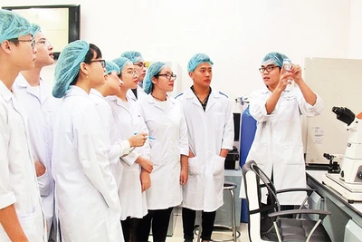 Hoạt động nghiên cứu khoa học tại Đại học Quốc gia Thành phố Hồ Chí Minh.