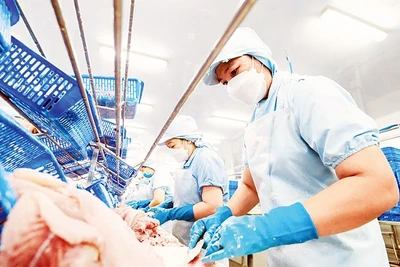 Công nhân làm việc tại một nhà máy chế biến thủy sản ở Cần Thơ.