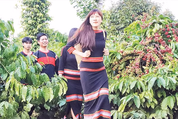 Đồng bào các dân tộc tỉnh Đắk Lắk hết sức tự hào khi Bộ Văn hóa, Thể thao và Du lịch công nhận “Tri thức trồng và chế biến cà-phê Đắk Lắk” là di sản văn hóa phi vật thể quốc gia, thuộc tri thức dân gian.