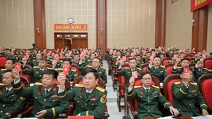 Các đại biểu biểu quyết.