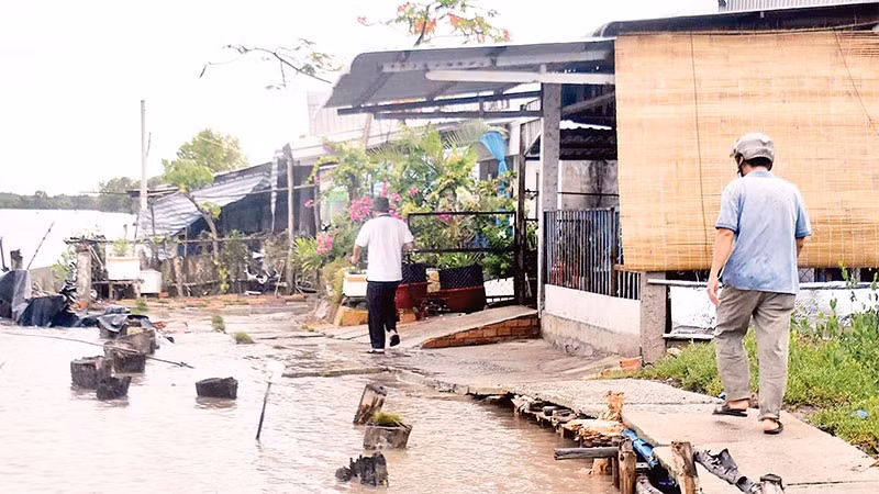 Lối vào khu dân cư khóm Sa Phô nằm dọc tuyến sông Cửa Lớn (thị trấn Năm Căn, huyện Năm Căn, tỉnh Cà Mau) bị sạt lở làm hư hỏng.