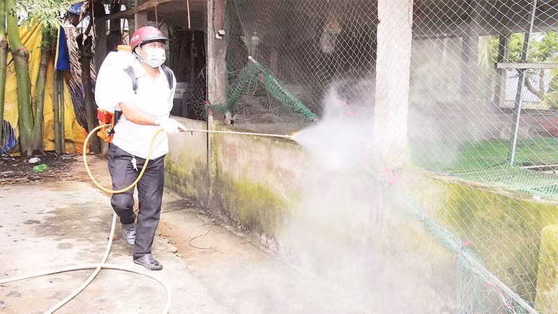 Thực hiện tháng cao điểm vệ sinh tiêu độc, khử trùng môi trường chăn nuôi.