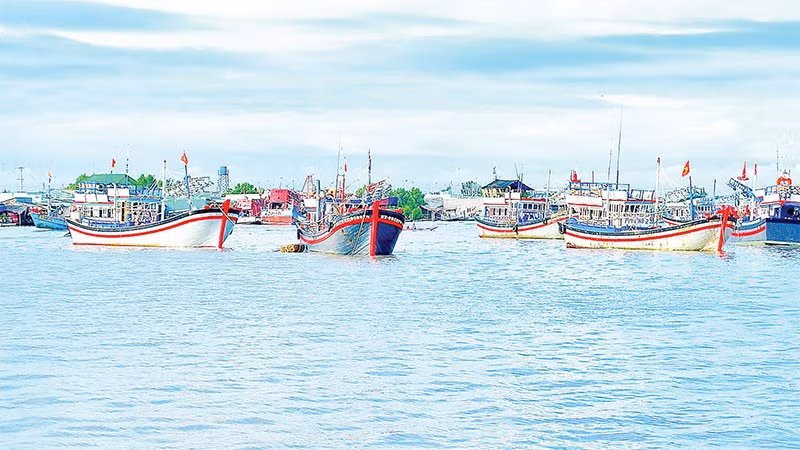 Nhiều tàu cá cập cảng cùng thời điểm nên công tác khai báo và bốc dỡ hàng hóa bị chậm trễ.