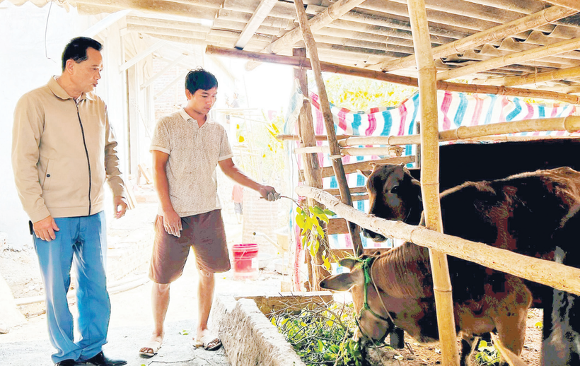 Hạn chế trong chăn nuôi đại gia súc khu vực Đồng bằng sông Hồng là quy mô nhỏ lẻ.