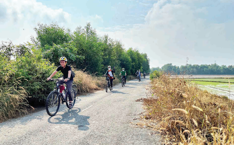 Du khách thích thú với tour khám phá Củ Chi bằng xe đạp. 