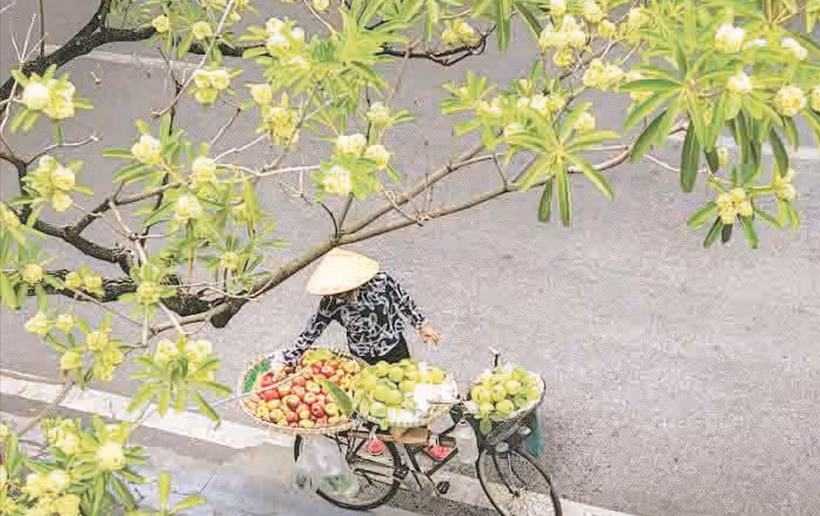 Thu Hà Nội đem theo những điều giản dị mà lãng mạn. (Ảnh LÊ TRANG)