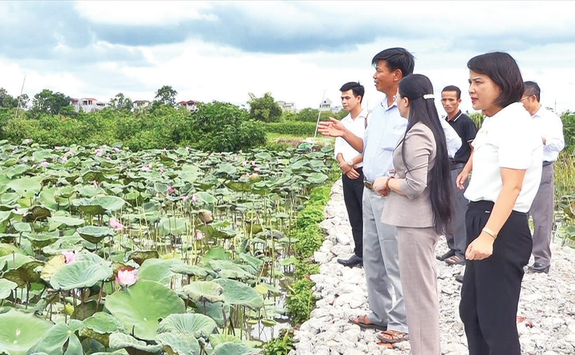 Nhiều mô hình sản xuất nông nghiệp tại Hà Nội phát huy hiệu quả kinh tế cao.
