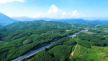 Hiện thực hóa tham vọng Net-Zero: Giải "bài toán" từ cơ chế