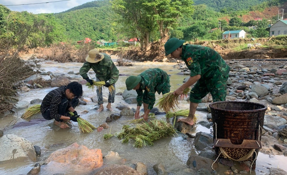 Rửa lúa bị ngập bùn. anh-8.jpg