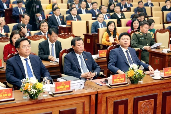 Các đại biểu tham dự phiên họp Hội đồng nhân dân tỉnh.