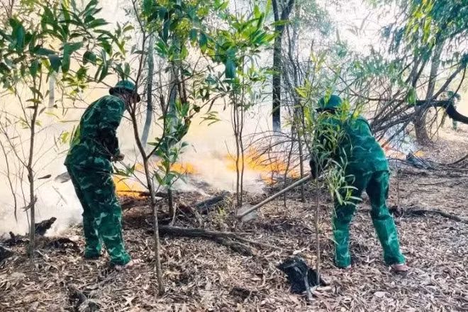 Bộ đội Biên phòng tham gia chữa cháy rừng tại tổ dân phố Bảo Ninh 3, phường Đồng Hới.