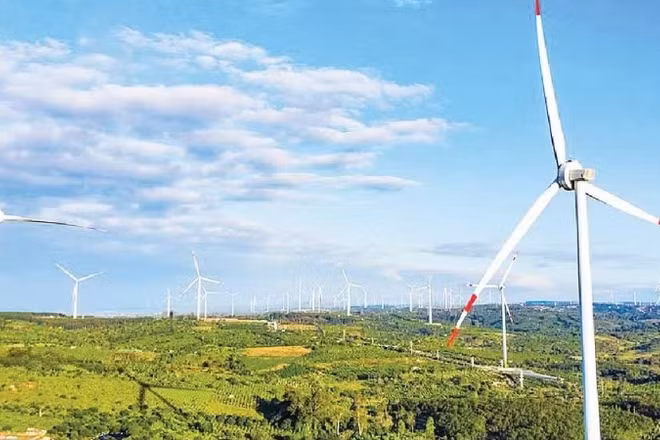 Cánh đồng điện gió Ea Nam, Đắk Lắk. (Ảnh: TRUNG NAM)