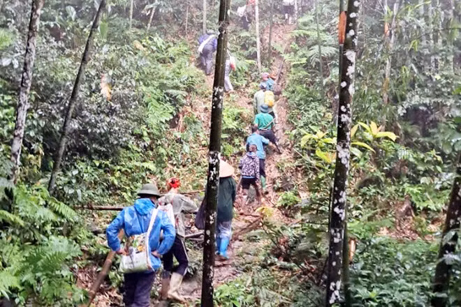 Xã Bắc Quang huy động khoảng 200 người tìm kiếm người đàn ông mất tích khi lên rừng tìm dược liệu.