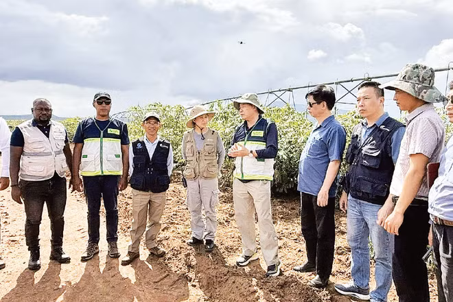 Đoàn công tác Bộ Nông nghiệp và Môi trường khảo sát sản xuất sắn tại Cộng hòa Angola. (Ảnh: TRUNG TÂM KHUYẾN NÔNG QUỐC GIA)