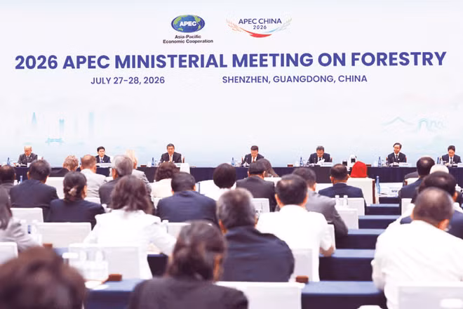 Quang cảnh Hội nghị Bộ trưởng APEC về Lâm nghiệp năm 2026. (Ảnh: APEC.ORG)