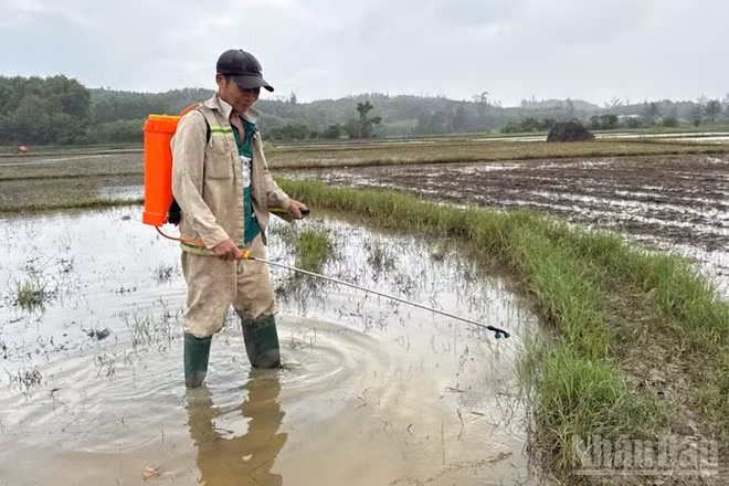 Sử dụng chế phẩm sinh học xử lý ô nhiễm do tràn dầu.