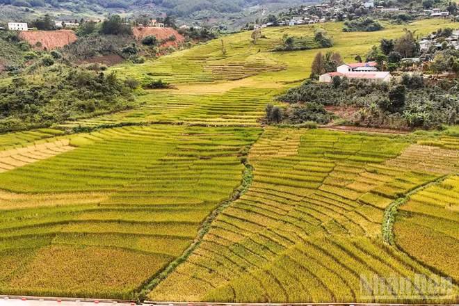 Gắn kết du lịch sinh thái núi rừng và biển đảo là định hướng chiến lược để tỉnh Quảng Ngãi định vị trên bản đồ du lịch trong nước.