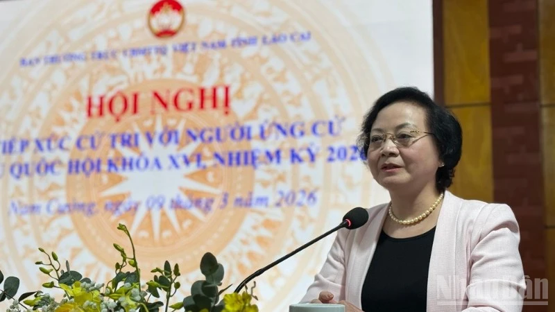 Phó Thủ tướng Phạm Thị Thanh Trà phát biểu tại hội nghị. (Ảnh: THANH SƠN)