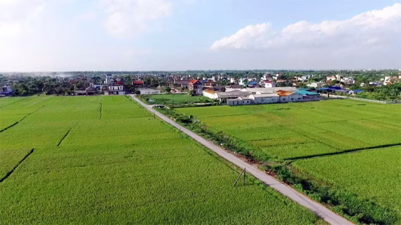 Khung cảnh bình yên tại một vùng nông thôn thuộc xã Long Hưng, tỉnh Hưng Yên.