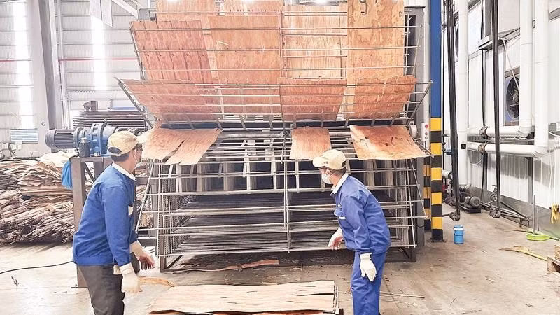 Sản xuất các loại ván công nghệ cao, phục vụ xuất khẩu tại Công ty cổ phần Ván sàn Hòa Phát (Khu công nghiệp Châu Đức, xã Nghĩa Thành, Thành phố Hồ Chí Minh). (Ảnh Cộng tác viên)