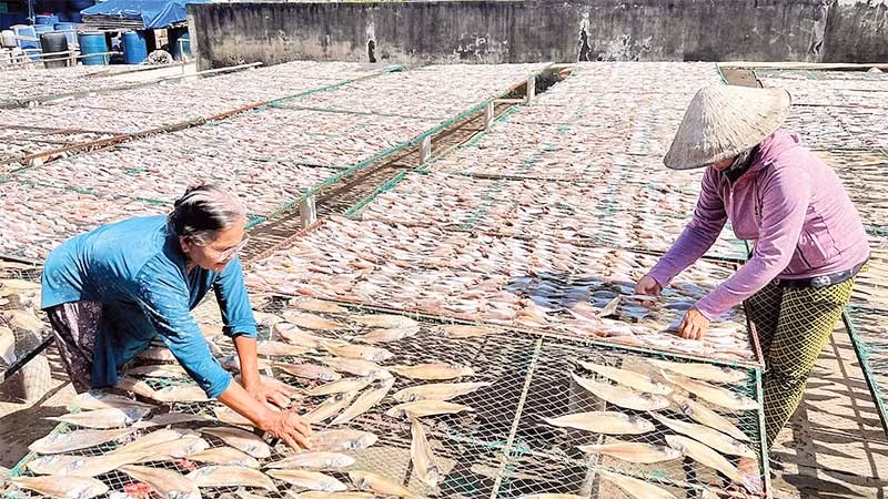 Làng nghề cá khô Bình Thắng tất bật vào vụ Tết.