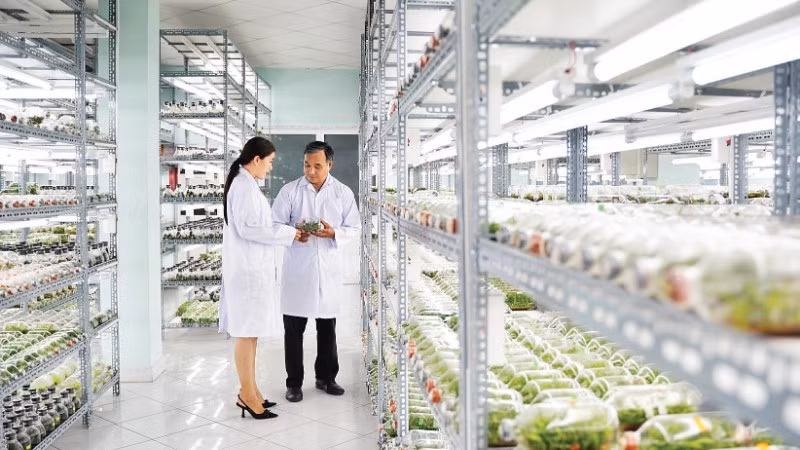Phòng nuôi cấy mô cây giống, Khu Nông nghiệp công nghệ cao Thành phố Hồ Chí Minh.