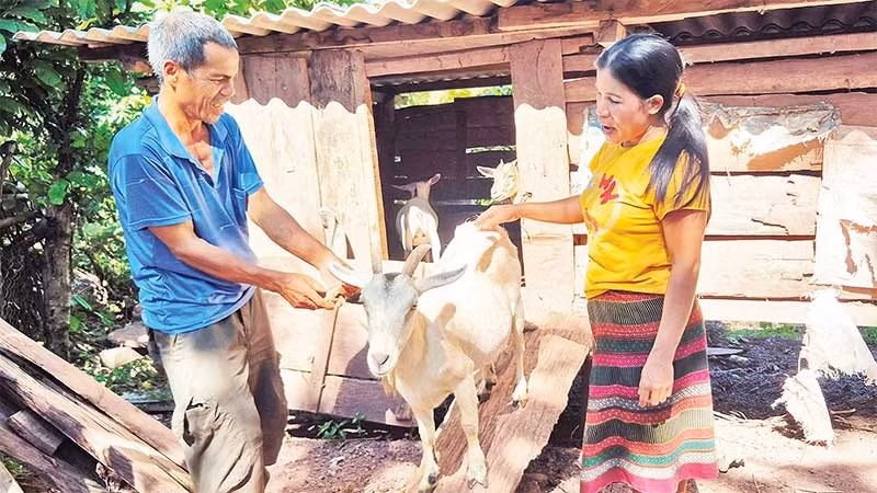 Chị Hồ Thị Dắt thường xuyên đến từng nhà dân, động viên bà con vượt khó vươn lên.
