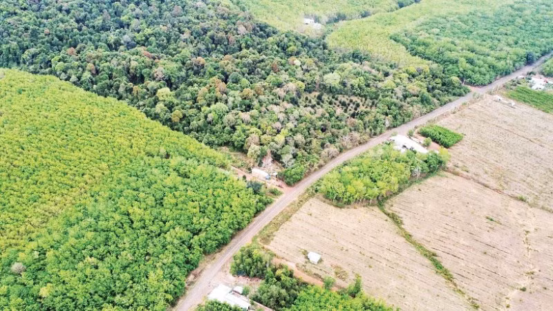 Tuyến đường ĐT753 gần cầu Mã Đà, tỉnh Đồng Nai.