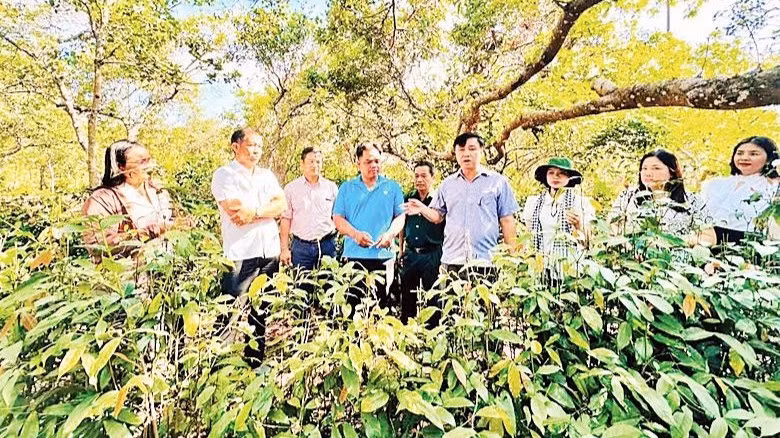 Lãnh đạo xã Bom Bo thăm vùng nguyên liệu phục vụ du lịch ẩm thực.