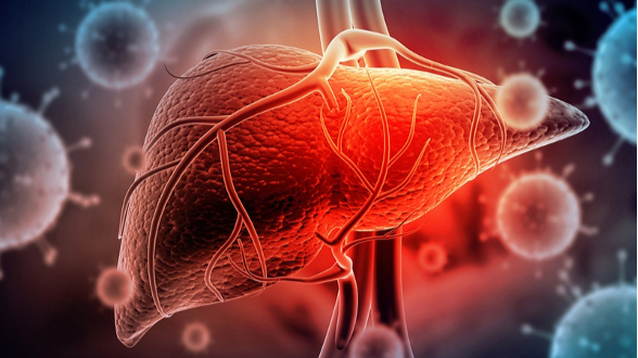 Không có dấu hiệu bất thường nhưng người dân nên cảnh giác men gan tăng cao. (Ảnh: Internet)